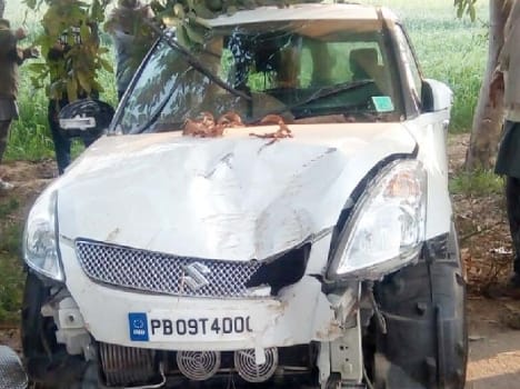 car collision with tree, two friends death